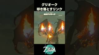 グリオーク叩き落とすリンク【ゼルダの伝説 ティアーズオブザキングダム】