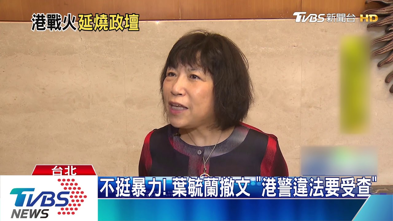 挺港警施暴? 國政成員要葉毓蘭回新黨