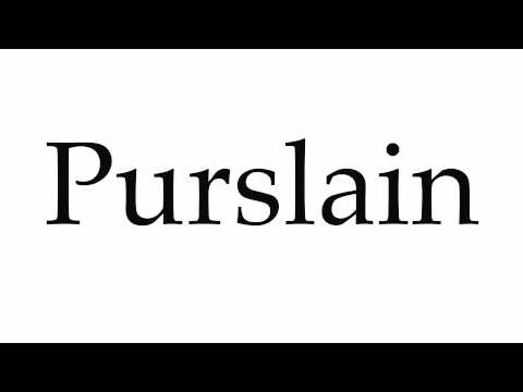 How to Pronounce Purslain