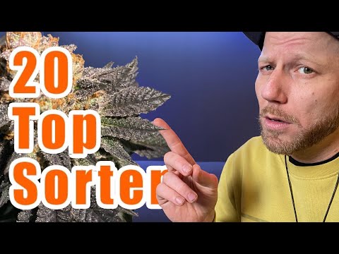 Ich reagiere auf - 20 TOP 🥦 SORTEN von Canadian Ca🥦🥦abis aus 2020