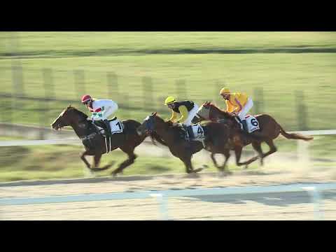 2019.11.24. 05. futam - SZUNYOGH ISTVÁN E.V. HENDIKEP (Elit o.) (szintetikus pálya)