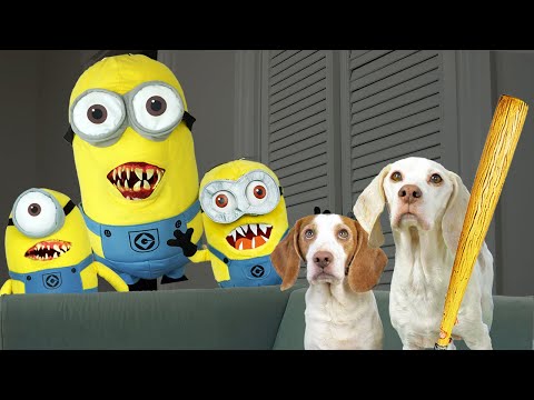 Dogs Battle Evil Minions In Real Life!