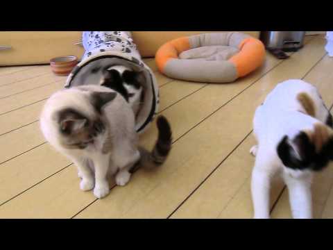 Mariluz + Ventisca 8