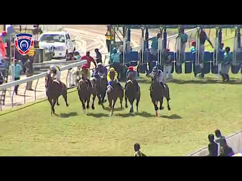 RM33 R4 - Independence