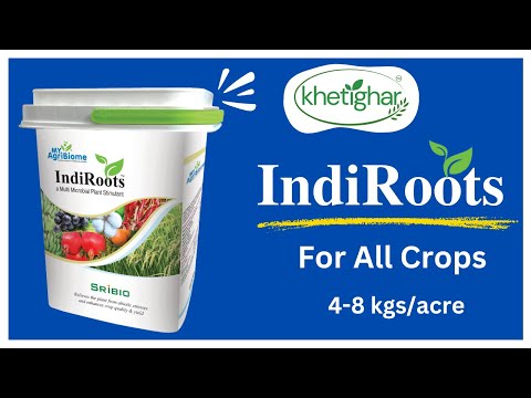 Indiroots