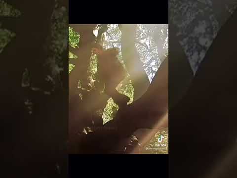 Cedric Diggory Behind The Scenes || Harry Potter