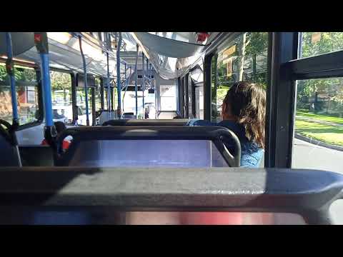 Forest Coach Lines - 8639 - Bustech MDi - CAT C7[Terrey Hills](271 - Austlink)