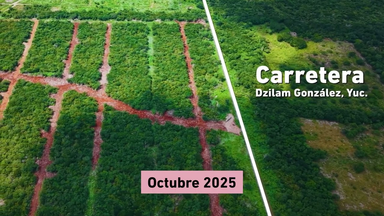 #AvanceDeObra TERRALMA #alzia