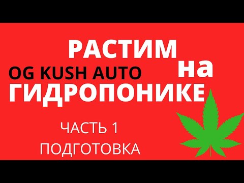 КАК ВЫРАСТИТЬ АВТИК НА ГИДРОПОНИКЕ? | РАСТИМ С MARS HYDRO | ГИДРОПОНИКА | ВЫРАЩИВАНИЕ НА ГИДРОПОНИКЕ