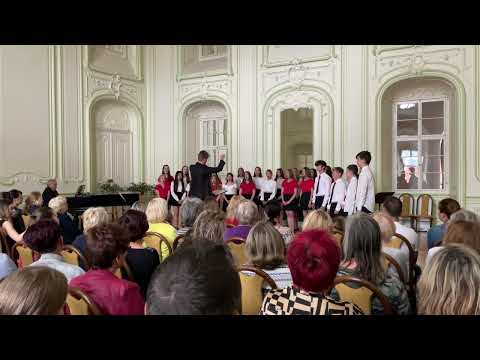 Pochod stoprocentních mužů