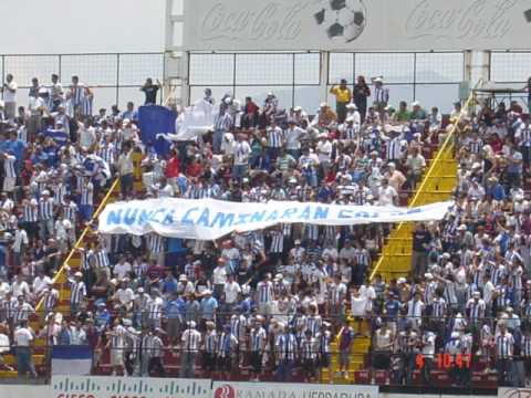 "Himno del Cartaginés" Barra: Fuerza Azul &bull; Club: Cartaginés &bull; País: Costa Rica