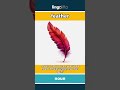 feather (noun) - definition and usage in English
