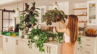 My Peaceful Houseplant Tour (30+ Plants) | Top 11 Container Gardening Tips!