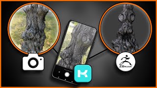 Kiri Tree Demo Scan video thumbnail