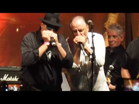 The Legendary Downchild Blues Band