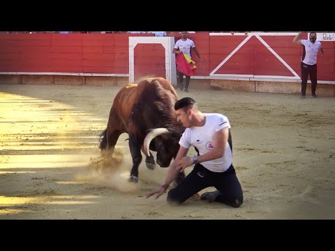 Toros Bravos SOLO los Mejores Momentos 2021
