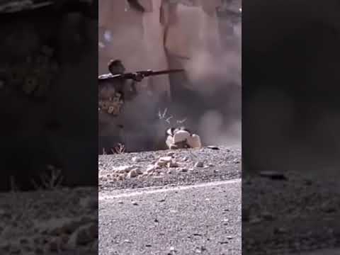 MG3 Real Life😎😂