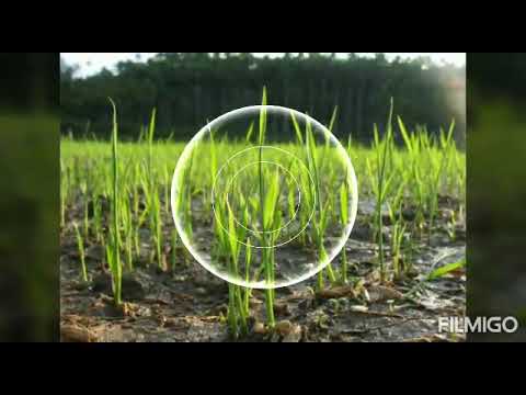 Chinchu ??????? ???...