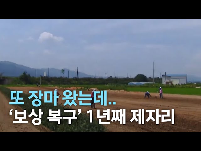 '또 장마 왔는데..' 피해 보상.복구도 제자리