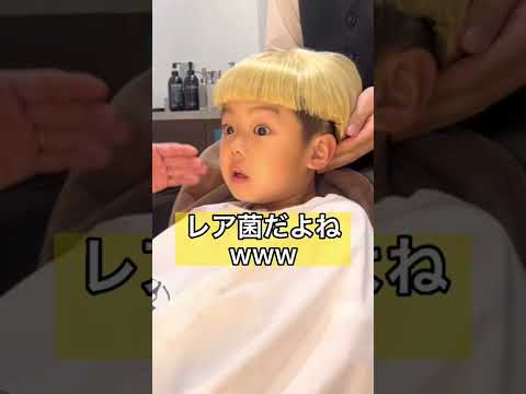 クドニア・シルシナン フランスでは避けるべき有毒な食用キノコ