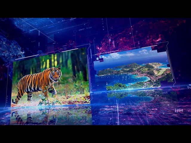 যে আলো পথ দেখায়-স্পটলাইট ।। Spotlight