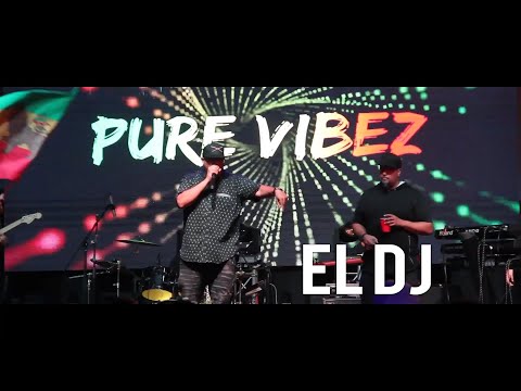 Toledo & Pure Vibez Band - El DJ (En vivo) 2019