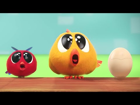 The Mystery Egg | Where's Chicky? | Cartoon Collection in English for Kids | New episodes