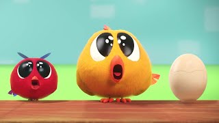 The Mystery Egg | Where's Chicky? | Cartoon Collection in English for Kids | New episodes
