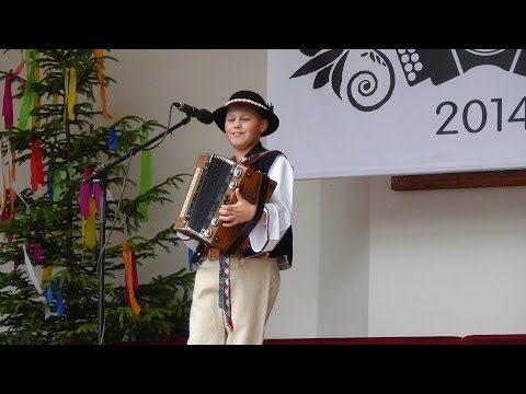 Andrejko a Milan Majerčíkovci - Frivaldská Heligónka 2014 /Rajecká Lesná/