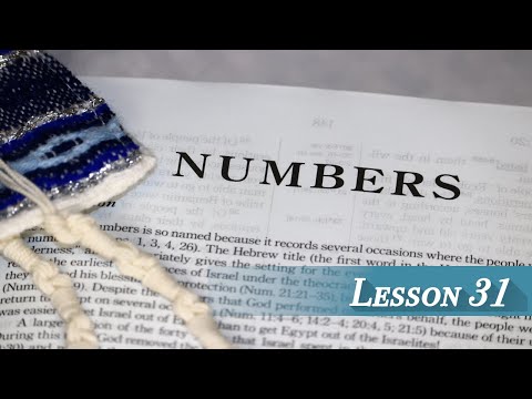 Lesson 31 - Numbers 28 & 29