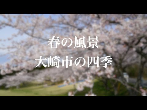 春の風景 大崎市の四季｜2021