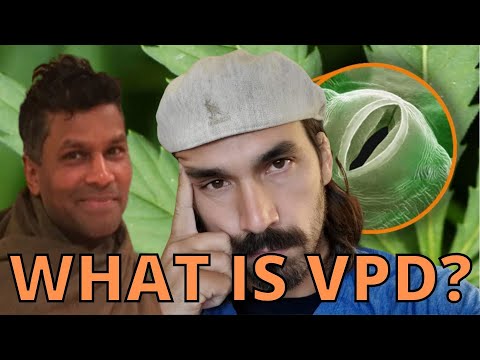 VPD - What is Vapor Pressure Deficit