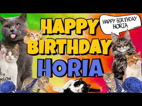 Happy Birthday Horia! Crazy Cats Say Happy Birthday Horia (Very Funny)