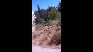 preview picture of video 'Scooter in Karpathos, road from Panagia to Karpathos'