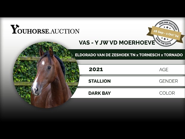 Vas - Y JW vd Moerhoeve
