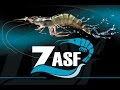 Zasf Corporate