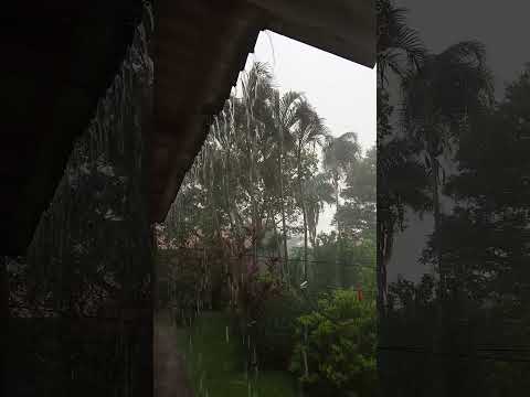 chuva Orizona Goiás terça feira 16 de dezembro de 2025 🌧️🌧️🌧️