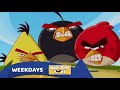 07 Angry Birds Toons Weekdays Promo Version 2 30 Sec