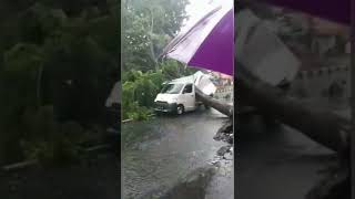 Download lagu Mobil Hancur Terkena Pohon Tumbang Akibat Hujan Angin Di Sidoarjo #shorts mp3