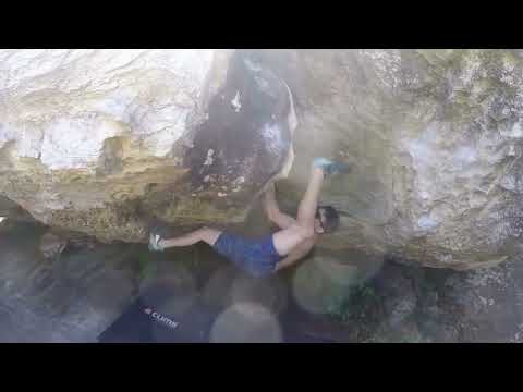 Leishmaniose Upgrade, V6. Cocalzinho de Goiás