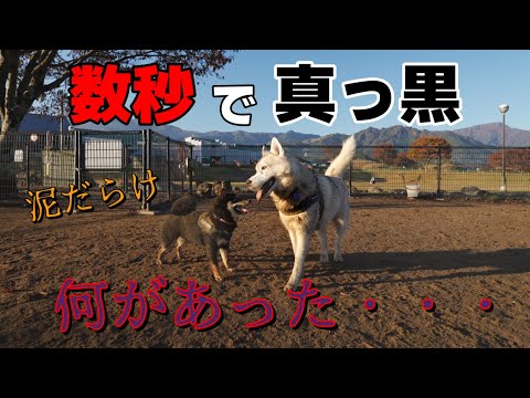 A day of fun filled with friends and newcomers alike!