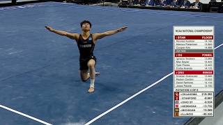 2026 NCAA Men's Gymnastics National Championships Final