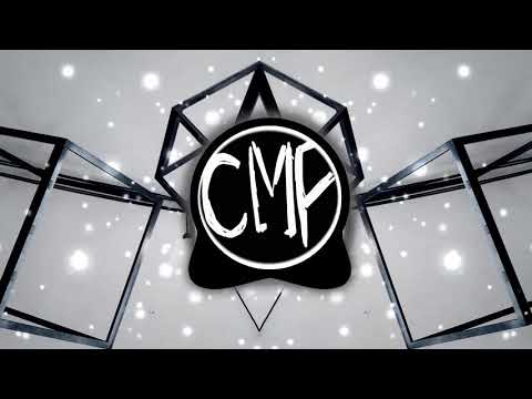 LIZOT x Paradigm x AMELY (No Copyright Music)