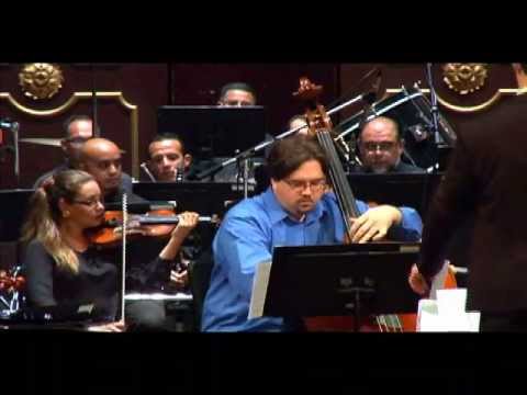 INSENSATEZ O.S.N de Costa Rica