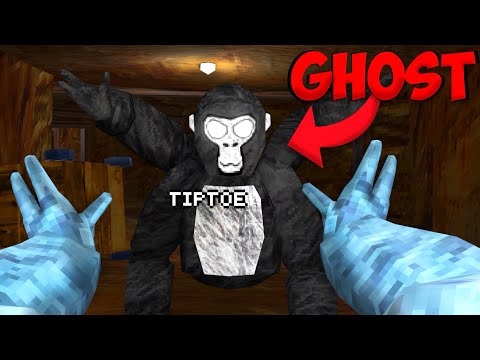 I hunted tiptoe at 3am...