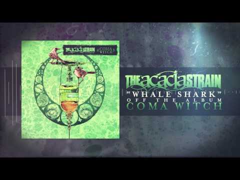 Video thumbnail for Whale Shark