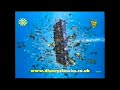 Disney S Cinderella 2 Disc Special Edition UK DVD Advert And Commercial Jaden Groves Style