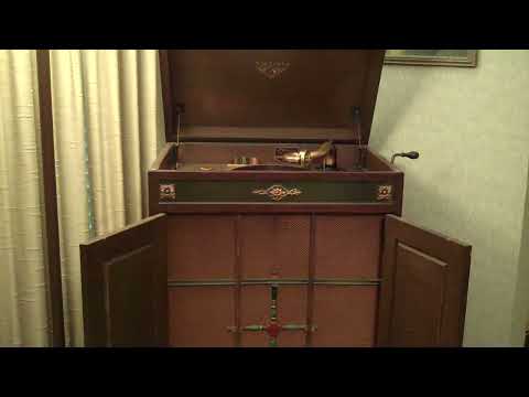 ROGER WOLFE KAHN JOE VENUTI - WHERE THE WILD, WILD FLOWERS GROW - ROARING 20's VICTROLA 8-9