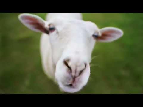 Sbírka Jedna báseň – báseň na každý km dálkového pochodu