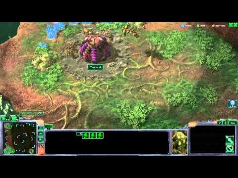 Xeyed Custom Race (4) Cyclone Jungle